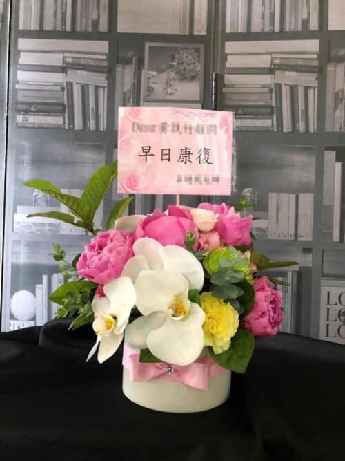 早日康復盆花