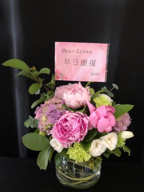 早日康復貴氣盆花