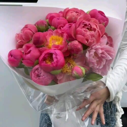 牡丹花花束