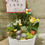 冰菓店開幕送多肉盆栽