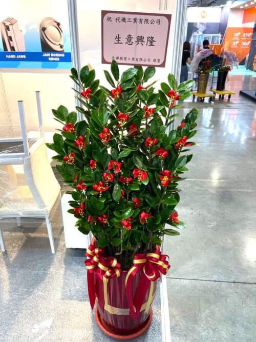 南港展覽館機械展賀禮盆栽