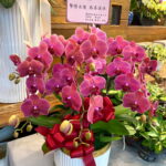 同事退休花禮