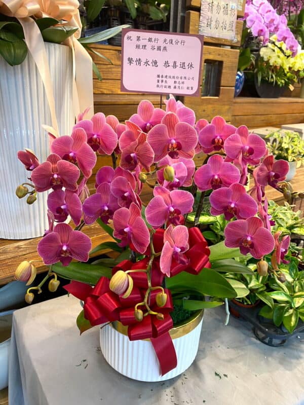 同事退休花禮