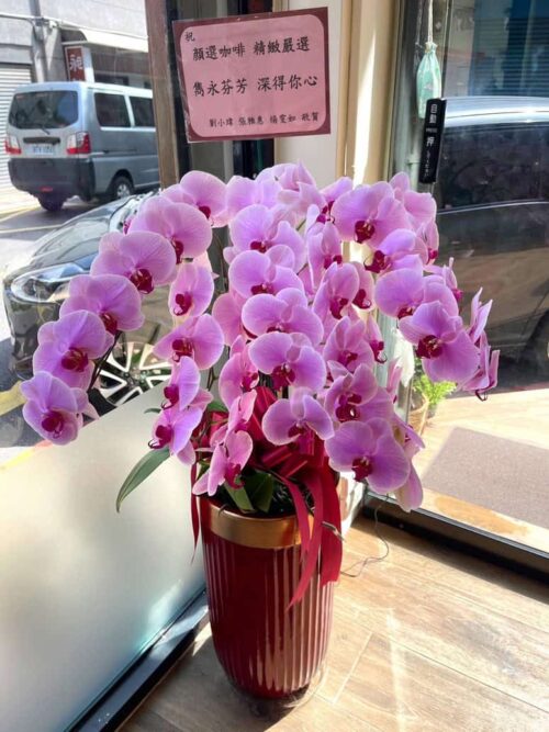 咖啡店開幕蘭花