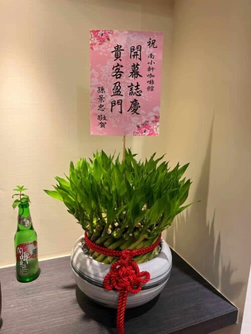 咖啡館開幕送開運竹盆栽