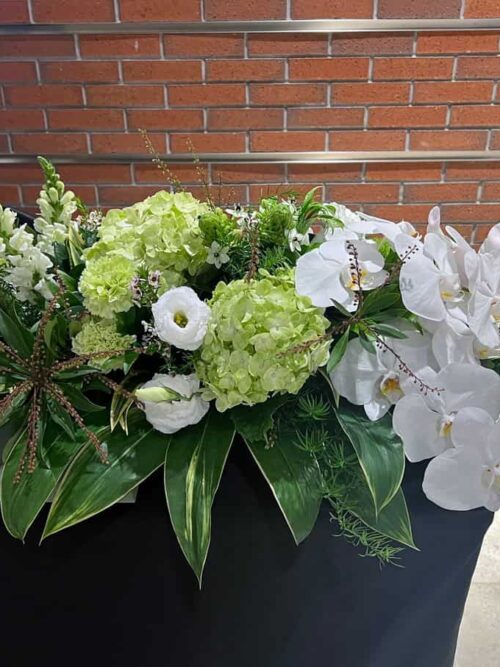 商業活動白綠花禮