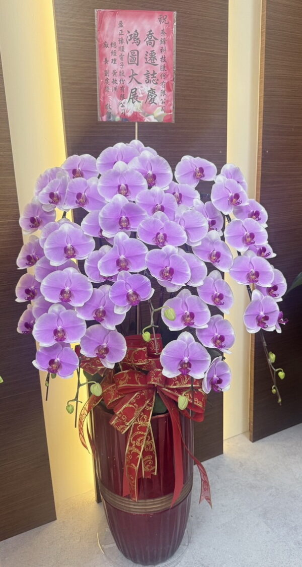 喬遷開幕蘭花 喬遷開幕蘭花