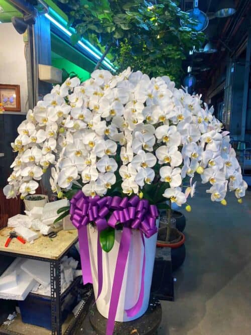 基督教告別式蘭花