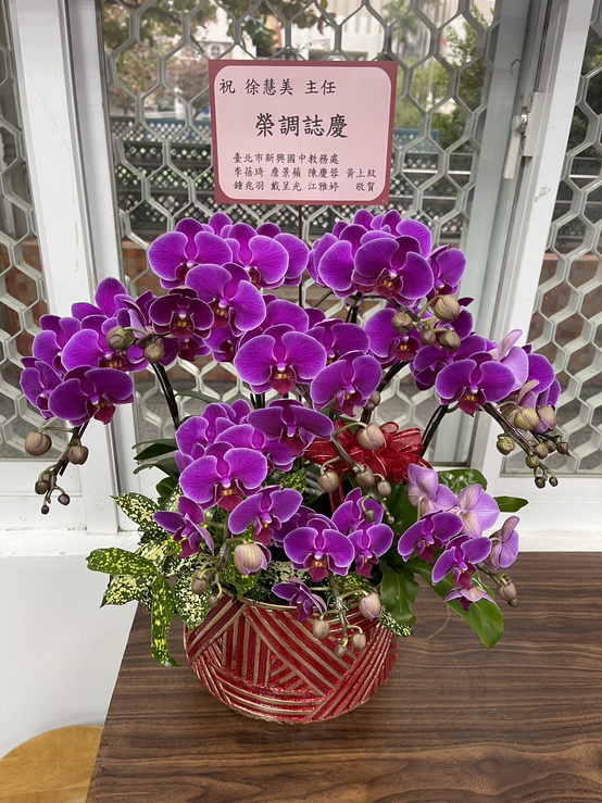 學校送蘭花 學校送蘭花