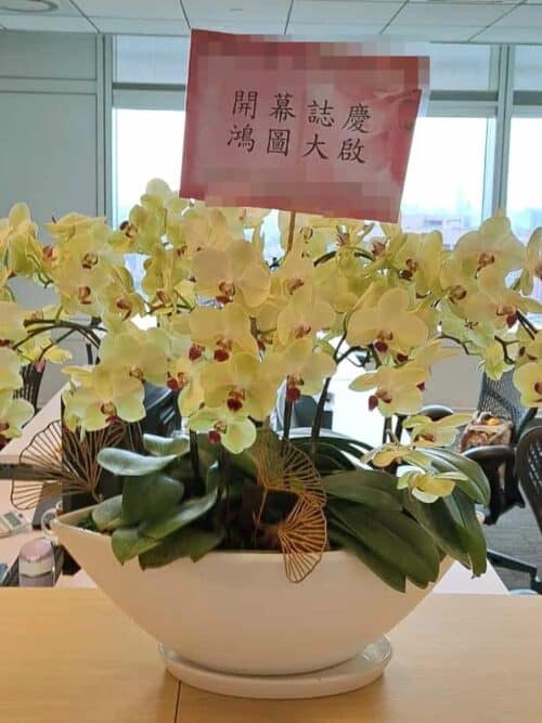 投顧公司開幕蝴蝶蘭