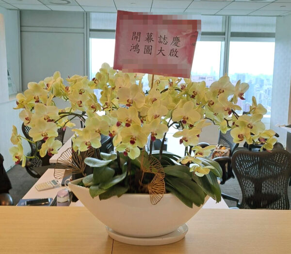 投顧公司開幕蝴蝶蘭