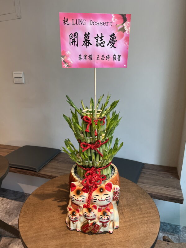 招財貓開運竹盆栽