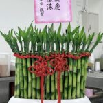 早餐店開幕盆栽推薦