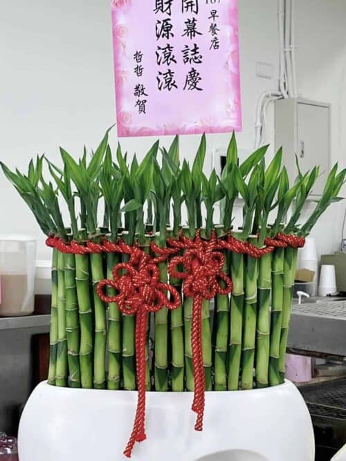 早餐店開幕盆栽推薦
