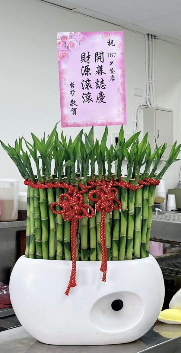 早餐店開幕盆栽推薦