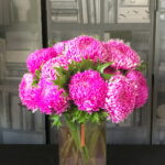 桃紅牡丹菊花禮