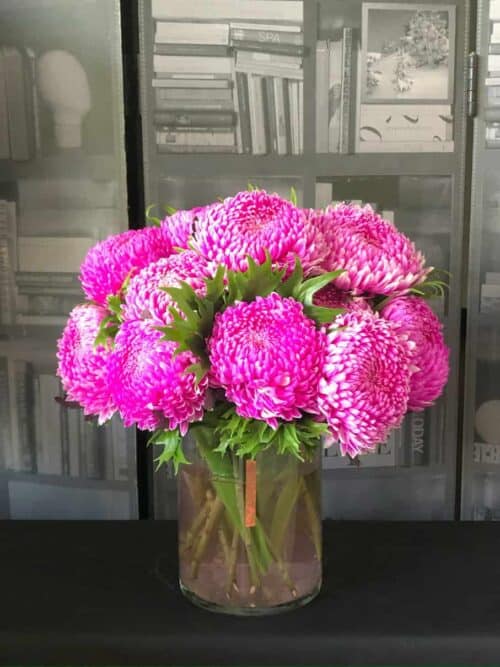 桃紅牡丹菊花禮