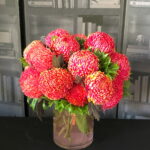 糖果色牡丹菊花禮