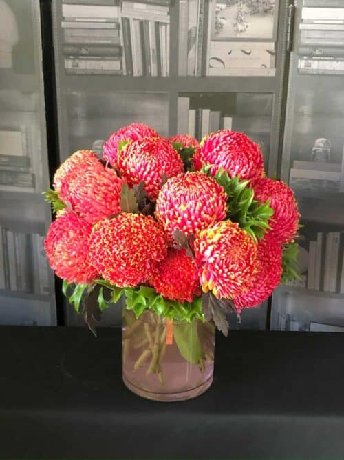 糖果色牡丹菊花禮