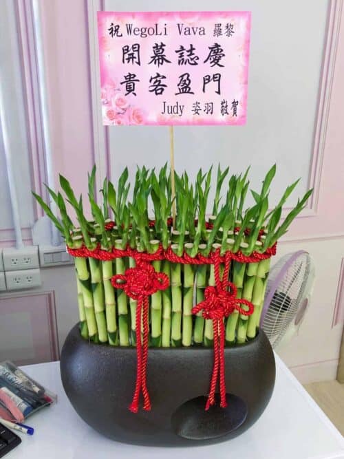 美髮店開運竹盆栽