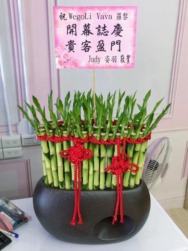 美髮店開運竹盆栽