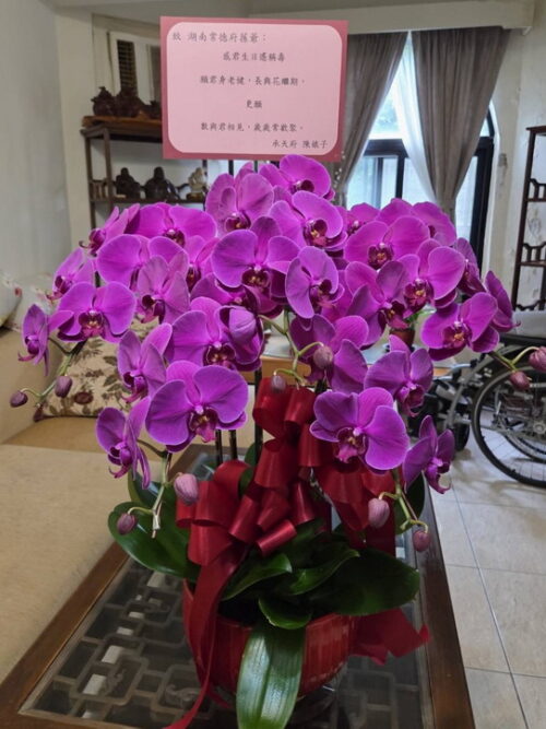 親友生日祝賀蘭花 親友生日祝賀蘭花
