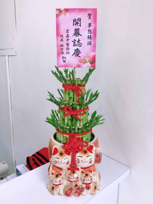 診所院長送開幕盆栽