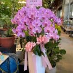議員代表致意追思蘭花禮