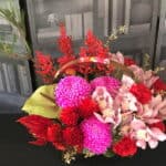 賀新年迎新春盆花