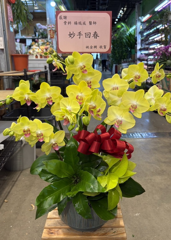 送中興醫院謝謝醫生蘭花 送中興醫院謝謝醫生蘭花