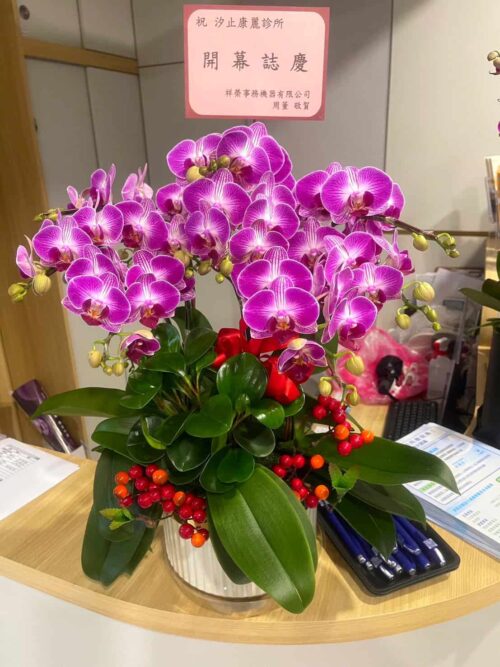 醫美診所蘭花賀禮