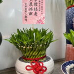 銀行主管榮陞盆栽