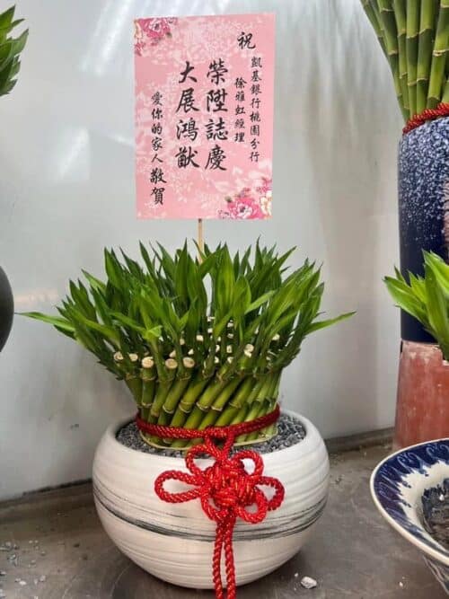 銀行主管榮陞盆栽