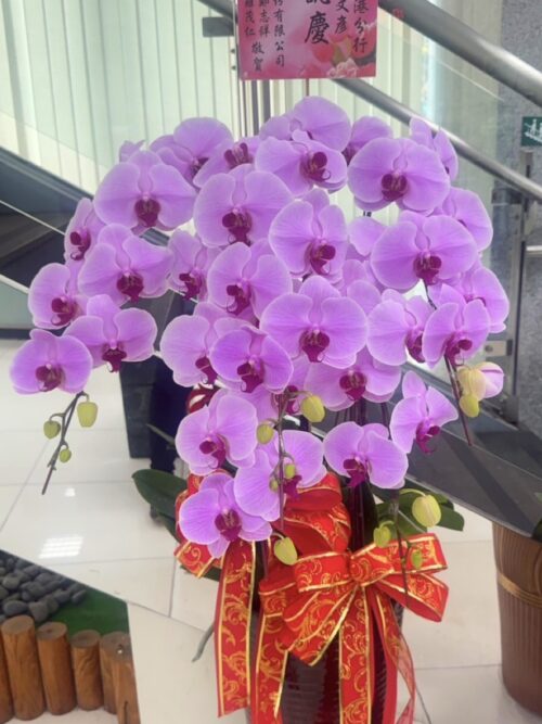 銀行主管榮陞蘭花