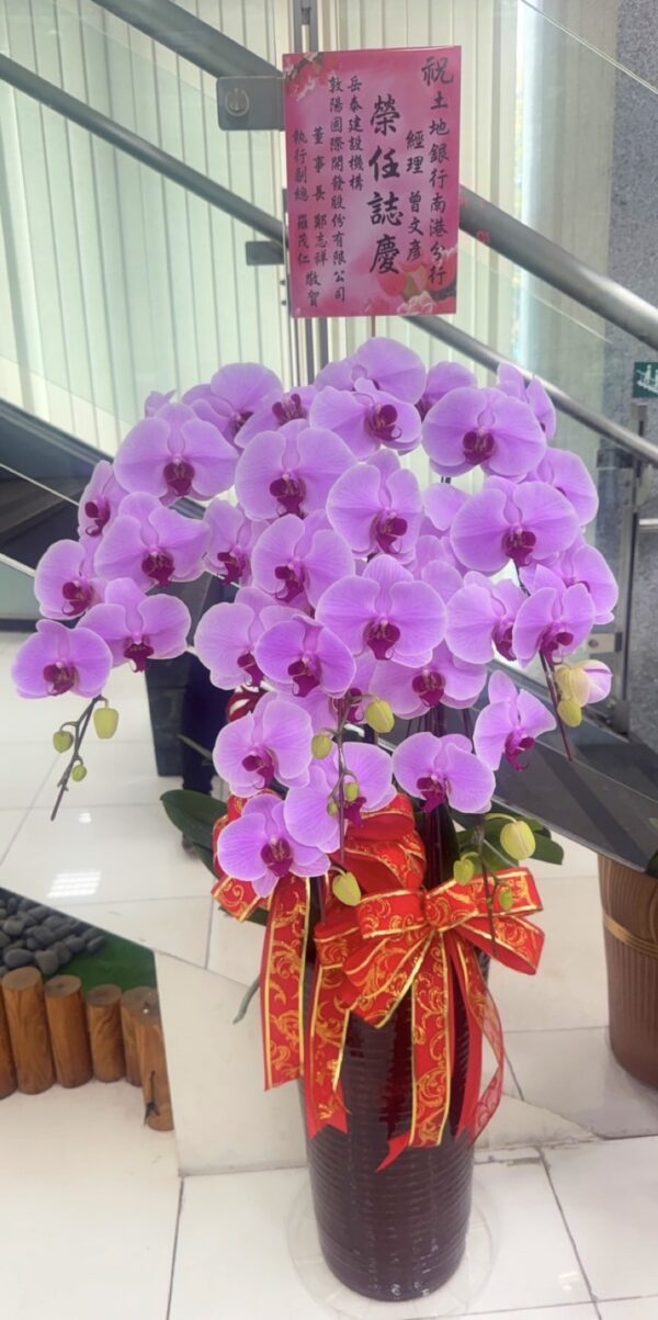 銀行主管榮陞蘭花