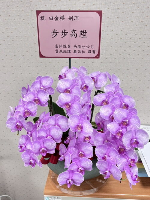 銀行副理榮陞蘭花 銀行副理榮陞蘭花