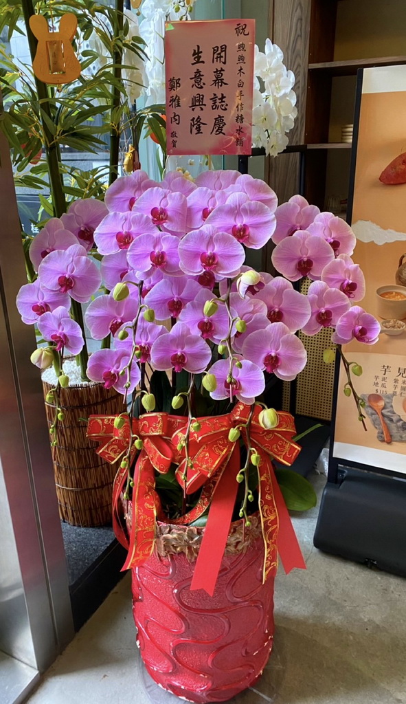 開幕祝賀蘭花生意旺旺 開幕祝賀蘭花生意旺旺