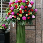 圓圓滿滿花藍