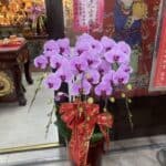 宮廟法會活動蘭花