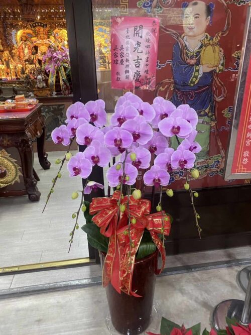 宮廟法會活動蘭花