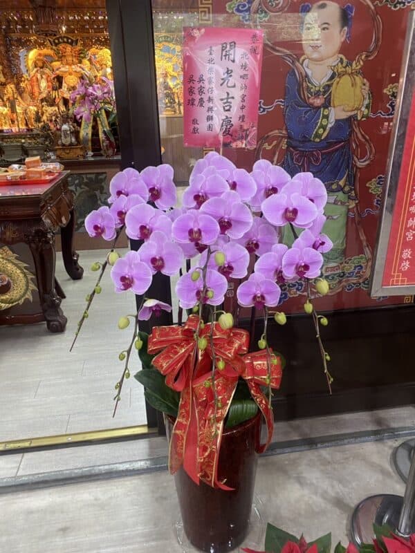 宮廟法會活動蘭花