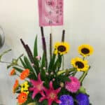 恭祝王爺聖誕盆花