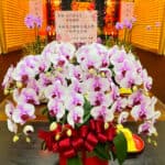 東門聖母宮還願蘭花