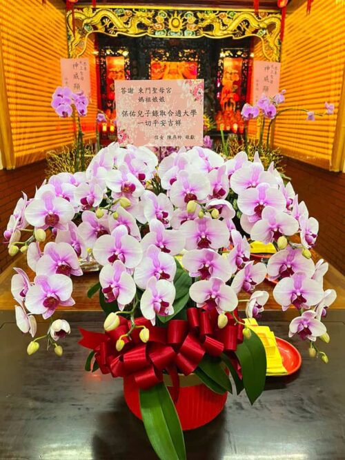 東門聖母宮還願蘭花