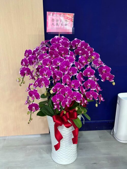 榮任蘭花