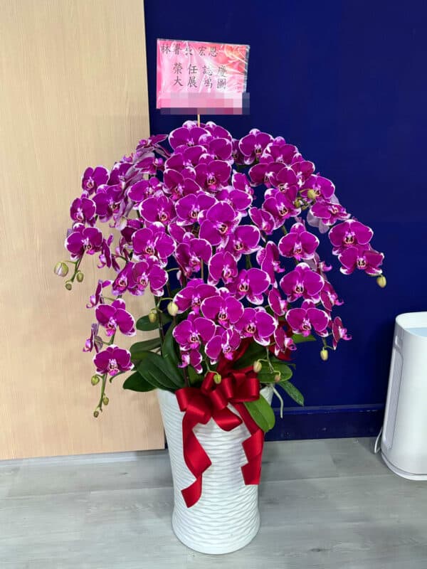 榮任蘭花