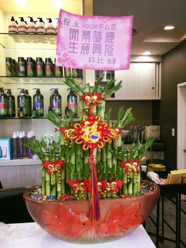 美髮店開幕開運竹盆栽
