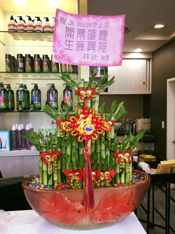 美髮店開幕開運竹盆栽