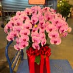 艋舺龍山寺還願蘭花