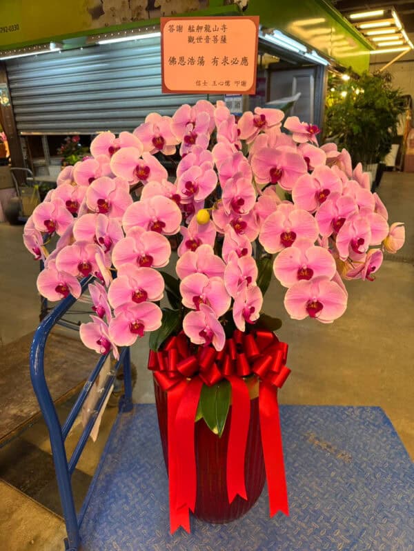 艋舺龍山寺還願蘭花